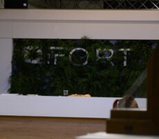 Batimat Paris 2017